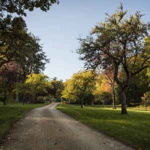 Glen Grant - Landscape
