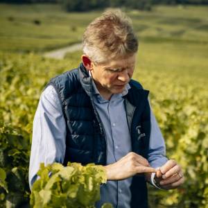 Cellar Master & General Manager, Champagne LALLIER 