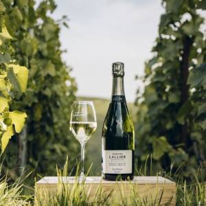 Dominique Demarville