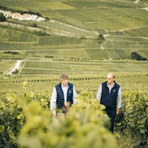 Cellar Master & General Manager, Champagne LALLIER 